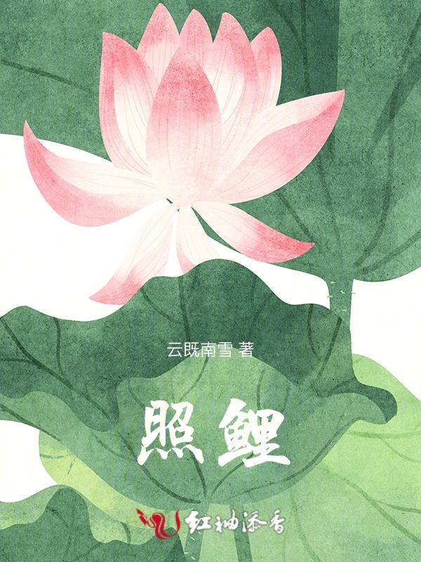 照鲤